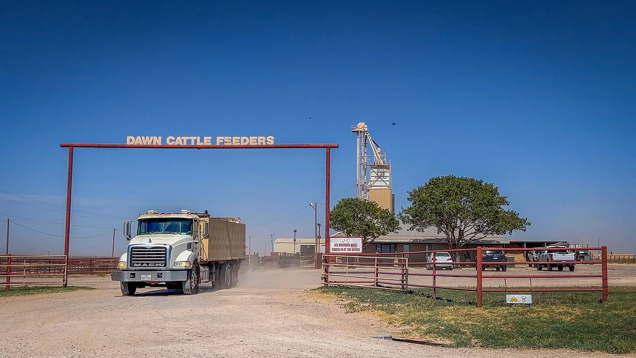A Mack truck with a tan box body raising dust as it drives out through the gate of Dawn Cattle Feeders in Canyon, Texas, with the feed mill tower behind it