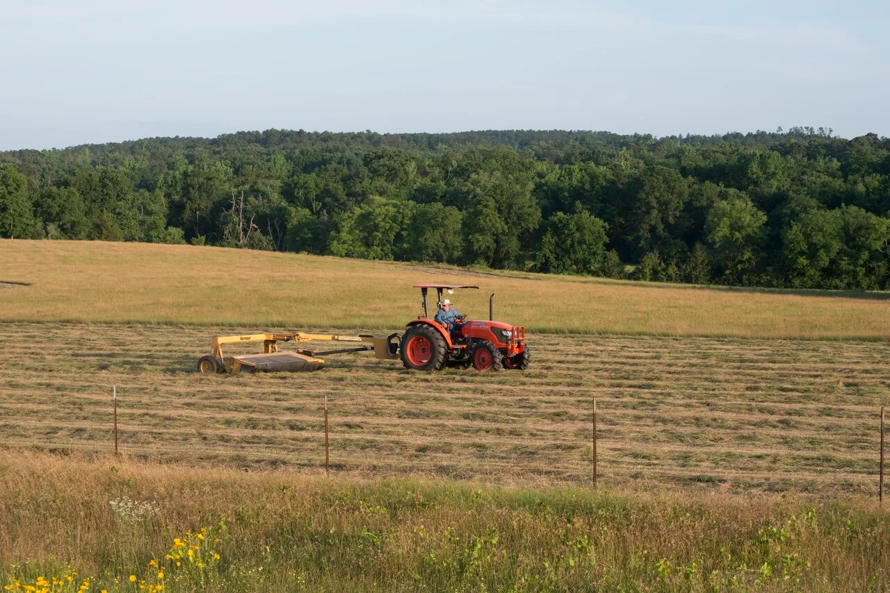 An orange Kubota tractor pulling a yellow Vermeer mower through a hayfield in Harrison County in East Texas, with cut hay in rows behind it and woods beyond